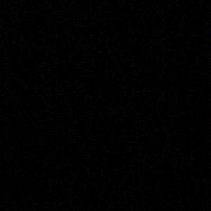 Meet your Posher, Aalanianna